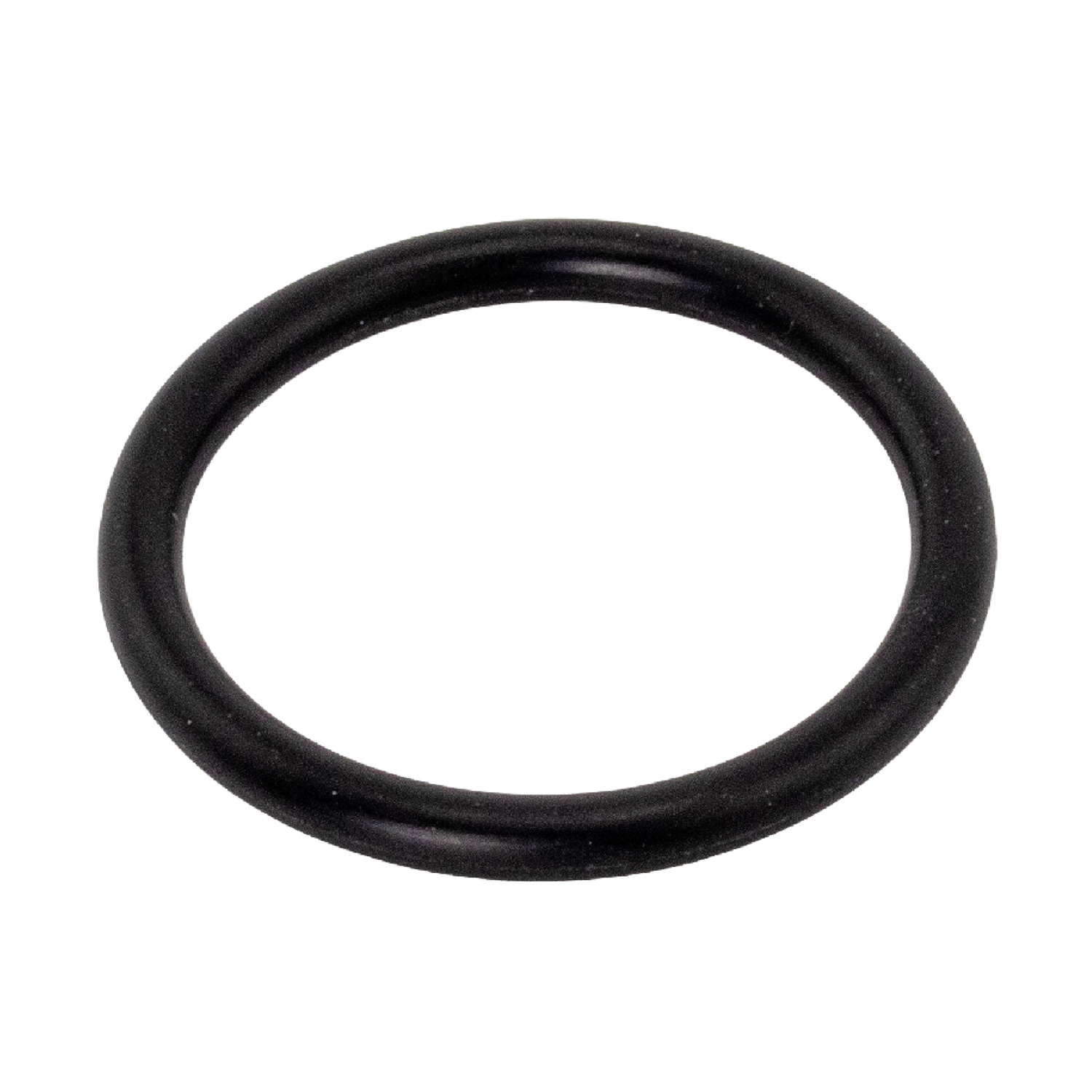 BANDELIN Dichtring für Filtergehäuse für MC 1001 / E / TRISON | Art.-Nr. 3373