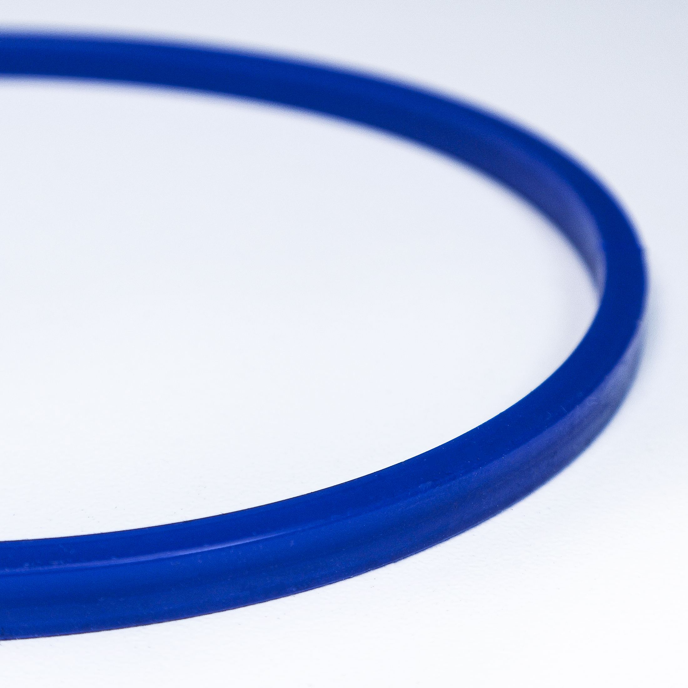 BANDELIN BactoSonic DI 5 Silikondichtung für Implantatbox IB 5 (5 Stück) | Art.-Nr. 32800 – Bild 4